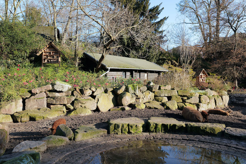 Ausblick auf den Bauernhof des Herzogenriedparks, an dem die Insektenhotels aufgestellt werden.
